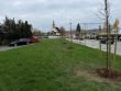 Linden and chestnut alley decorates Gabk park