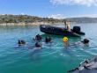 Our men in Greek waters