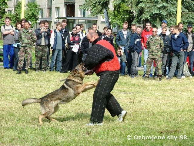 PRÁPOR PODPORY VELENIA LZ PRE OV