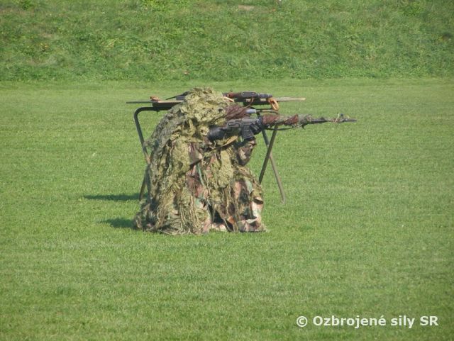 PROFESIONÁLI NA VEREJNOSTI