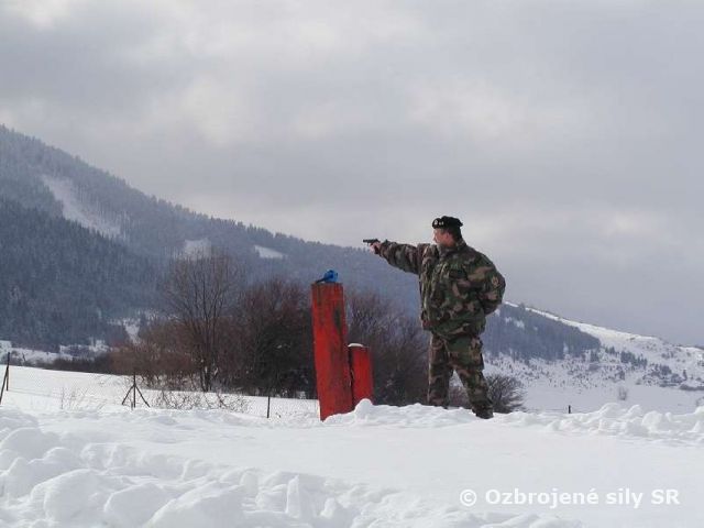 Cvičenie strelieb