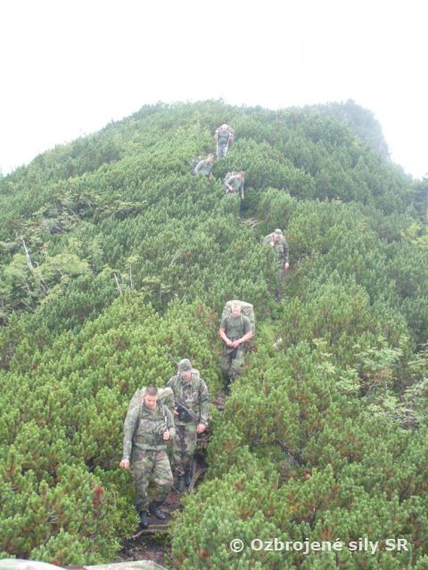 Letné prežitie-Summer survival