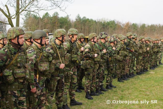 Preverenie profesionality v bojových zručnostiach