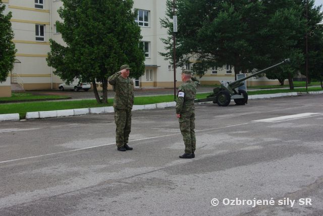 Trojdňový komplexný štábny nácvik WILD LYNX 2013 sa začal