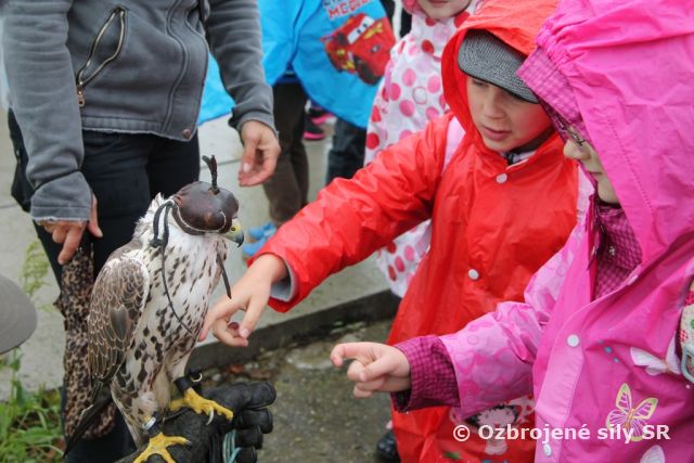 Deň detí so vzdušnými silami