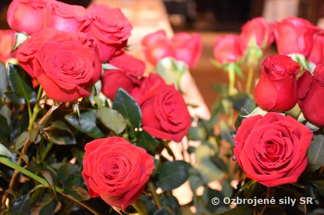 Medzinárodný deň žien na veliteľstve vzdušných síl