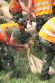 Vojaci z Nitry, Levíc a Serede pomáhajú obyvateľom Štúrova a Komárna