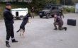 Spoločný výcvik psovodov a služobných policajných psov