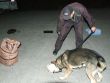 Spolon vcvik psovodov a sluobnch policajnch psov