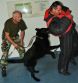 Spoločný kooperačný výcvik služobných psov a psovodov ozbrojených zborov a Vojenskej polície 