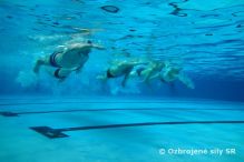 Prípravné plavecké cvičenie Oddelenia krízového manažmentu VP