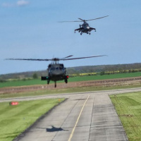 Medzinárodné cvičenie Black Swan 2021  