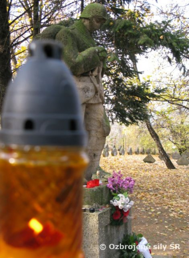 Na poliach flámskych kvitnú červené maky ...