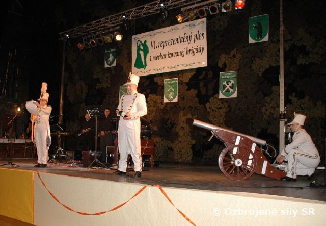 Ples v Topoľčanoch