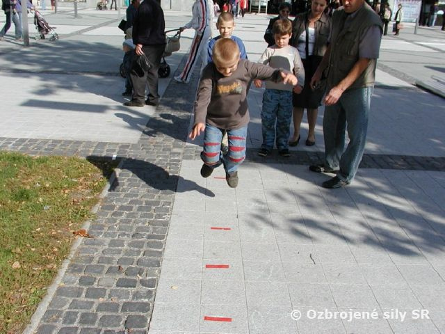 OSLAVY DŇA OZBROJENÝCH SÍL
