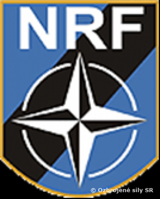 Vojaci z nitrianskeho práporu cvičia v Nemecku so zahraničnými partnermi