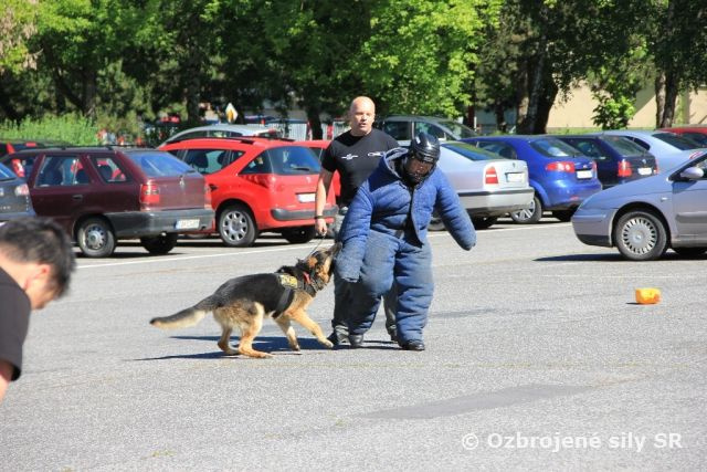 Branno - športový deň vo Zvolene