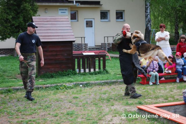Ukážka výcviku psov vo Vlkanovej